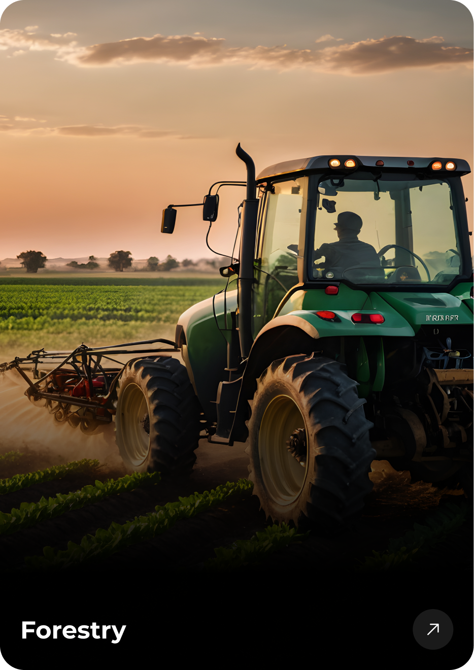 Yangtze River Commercial Complex